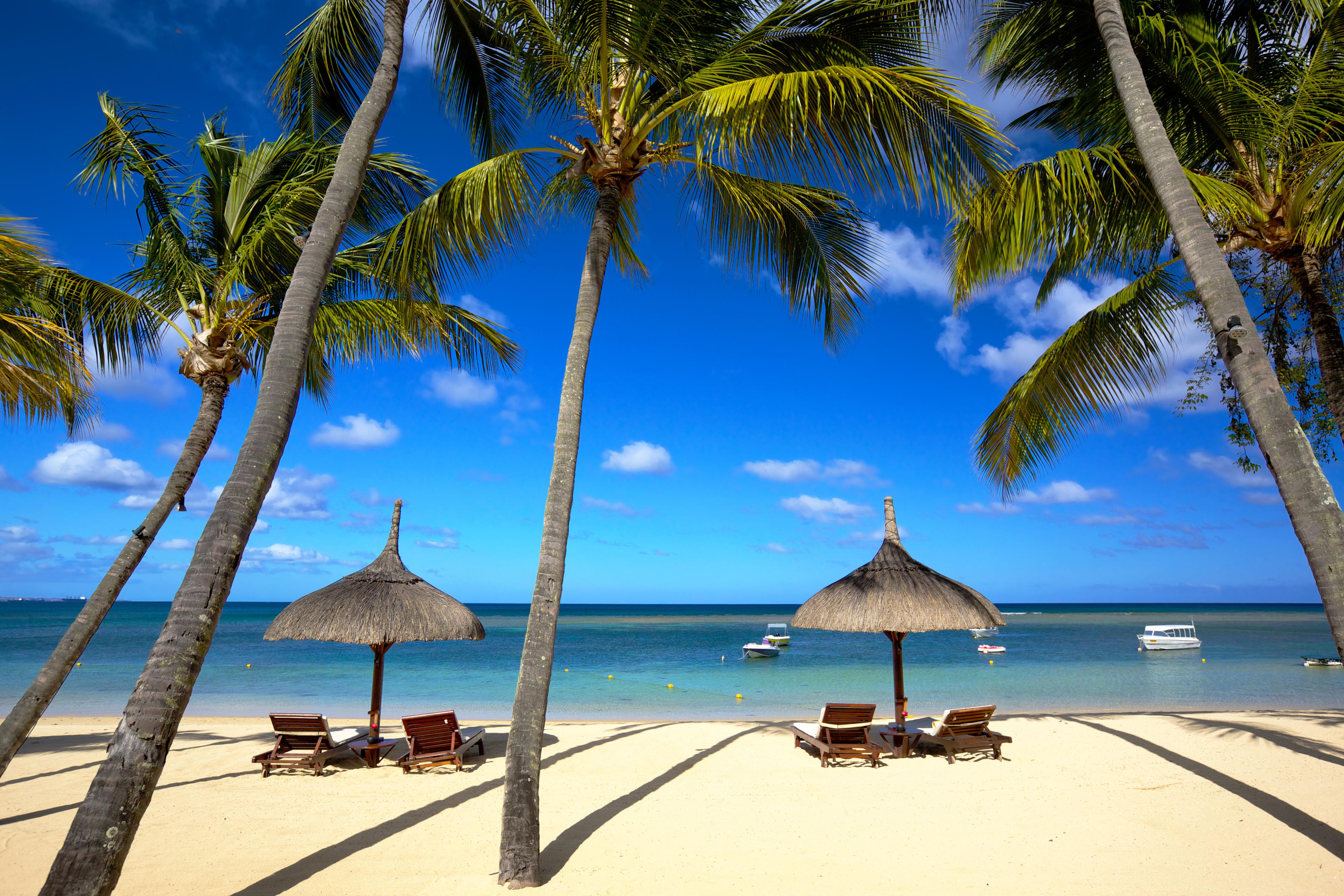 Book Your Vacation Pros Complimentary Consultation - background banner